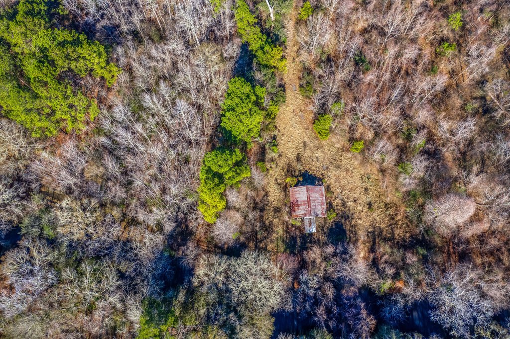 Summerville, South Carolina, 29485, United States, ,Land,Forsale,1883814