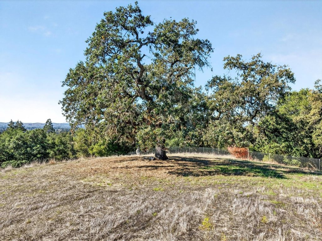 Santa Rosa, California, 95404, United States, ,Land,Forsale,1985925