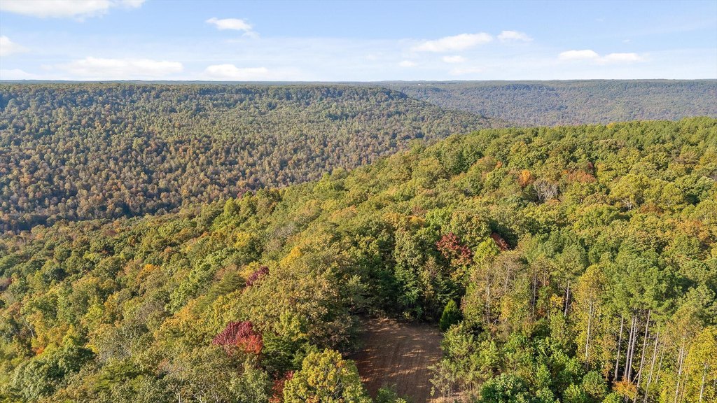 Spencer, Tennessee, 38585, United States, ,Land,Forsale,2009589