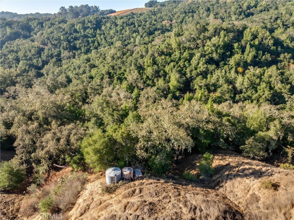 Templeton, California, 93465, United States, ,Land,Forsale,2009045