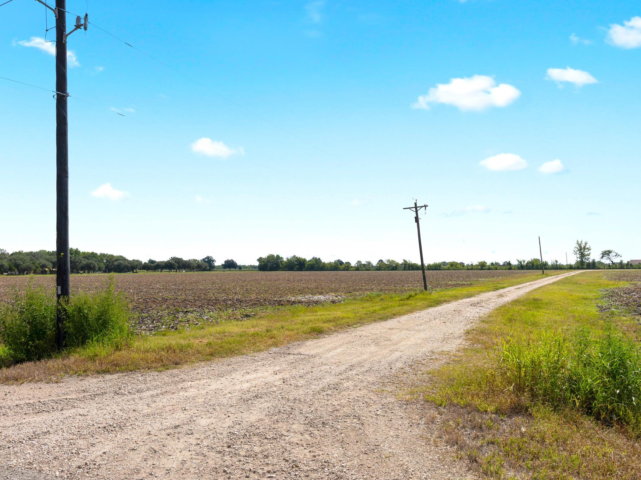 Needville, Texas, 77461, United States, ,Land,Forsale,1973438