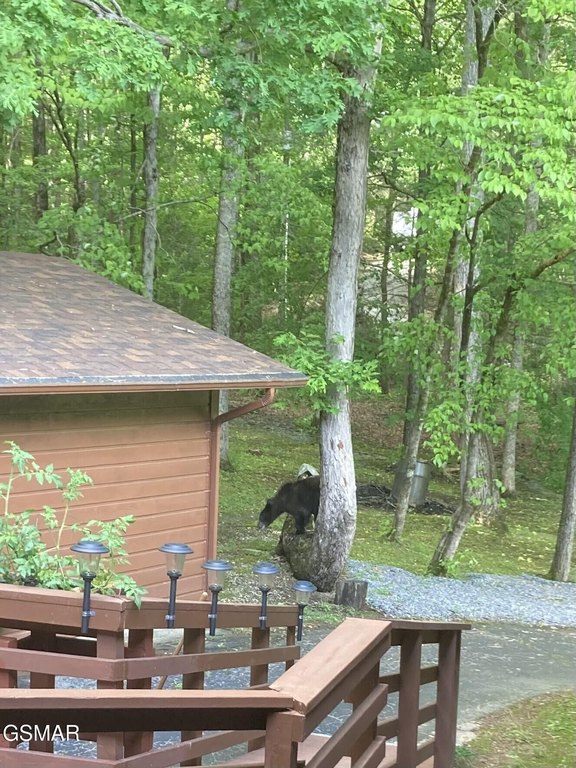 Sevierville, Tennessee, 37862, United States, 3 Bedrooms Bedrooms, ,4 BathroomsBathrooms,Residential,Forsale,1999462