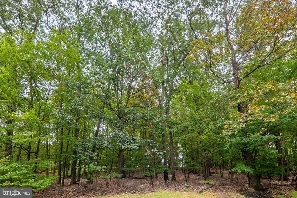 CENTER VALLEY, Pennsylvania, 18034, United States, ,Land,Forsale,2004207