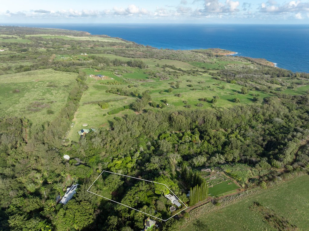 Kapaau, Hawaii, 96755, United States, 2 Bedrooms Bedrooms, ,1 BathroomBathrooms,Residential,Forsale,2004383