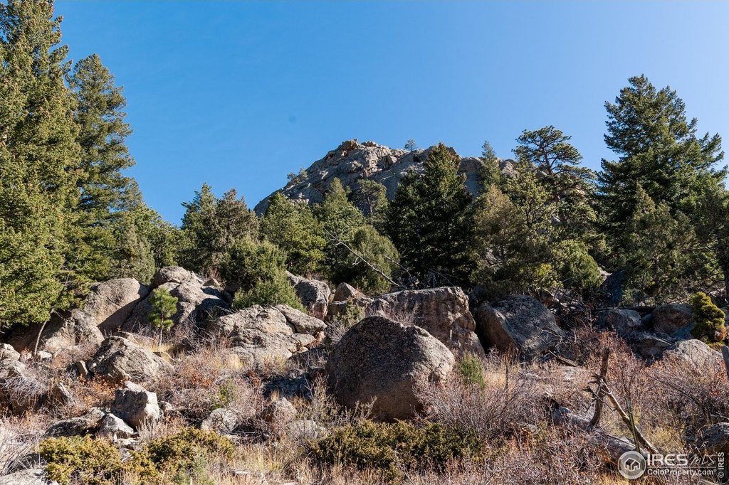 Livermore, Colorado, 80536, United States, 3 Bedrooms Bedrooms, ,1.5 BathroomsBathrooms,Residential,Forsale,2004220