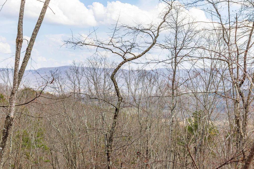 Pikeville, Tennessee, 37367, United States, ,Land,Forsale,2004680