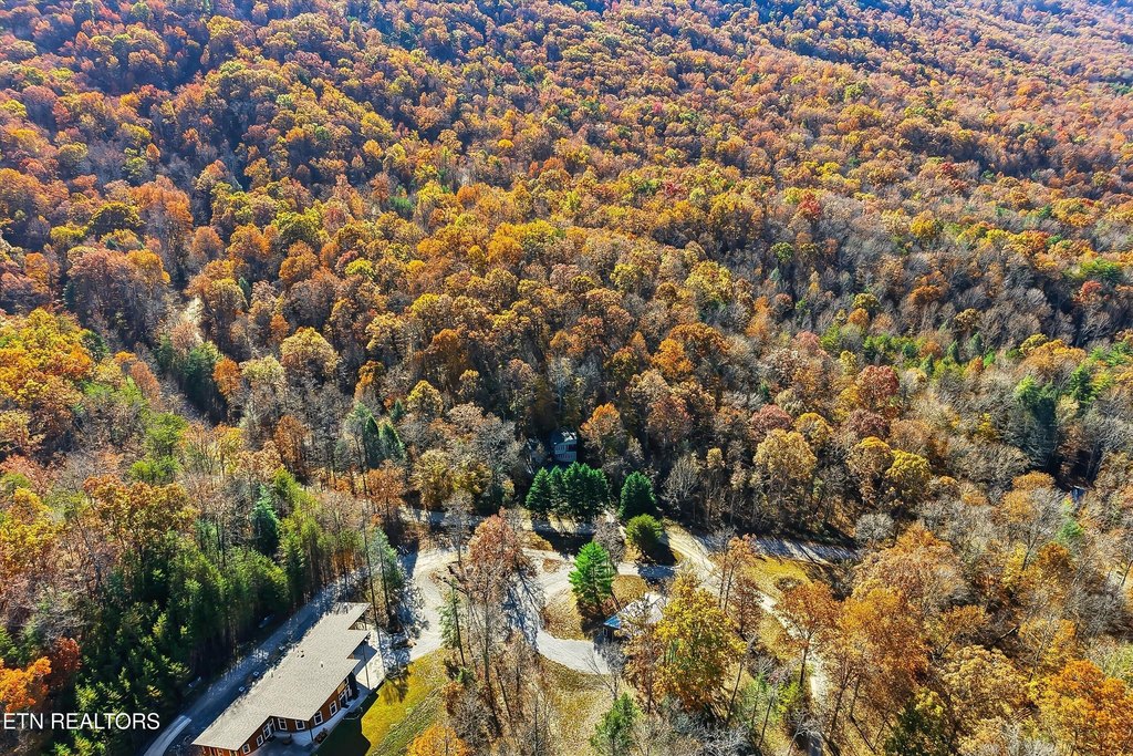 Maryville, Tennessee, 37803, United States, 2 Bedrooms Bedrooms, ,2.5 BathroomsBathrooms,Residential,Forsale,1999450