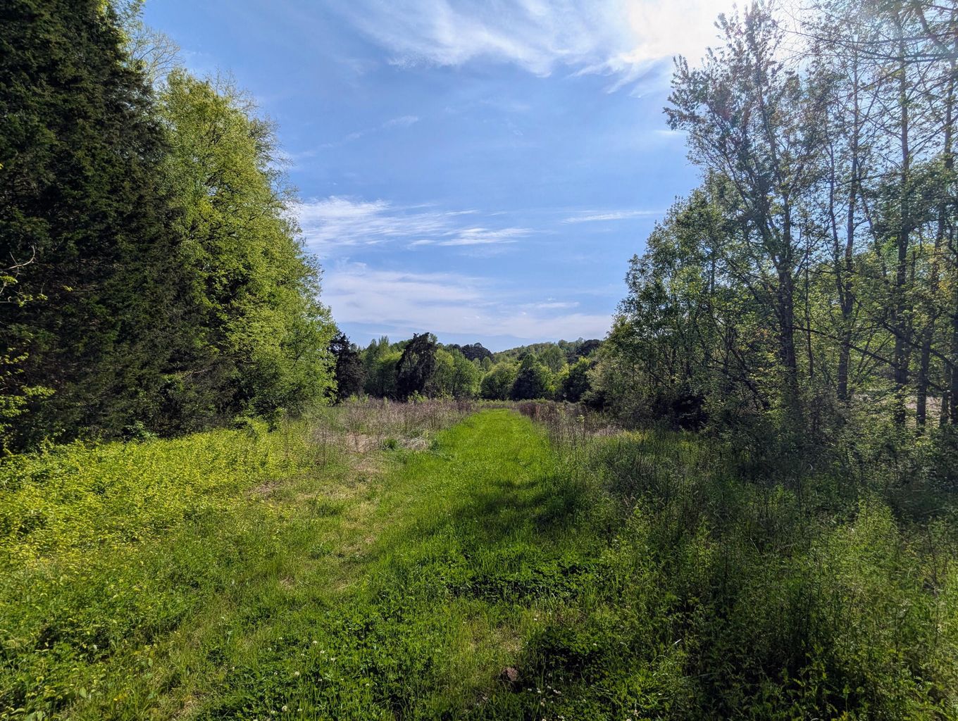 Old Fort, Tennessee, 37362, United States, ,Land,Forsale,1995359 Old Fort, Tennessee, 37362, United States, ,Land,Forsale,1995359