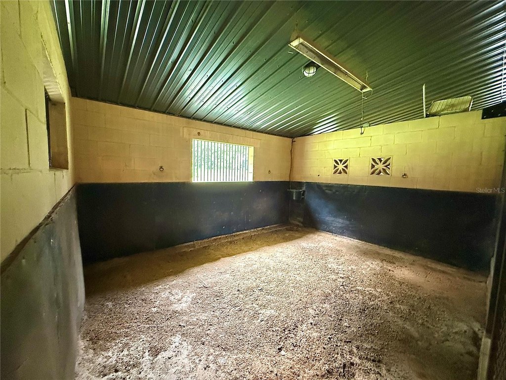 WILLISTON, Florida, 32696, United States, 3 Bedrooms Bedrooms, ,2 BathroomsBathrooms,Residential,Forsale,1994003