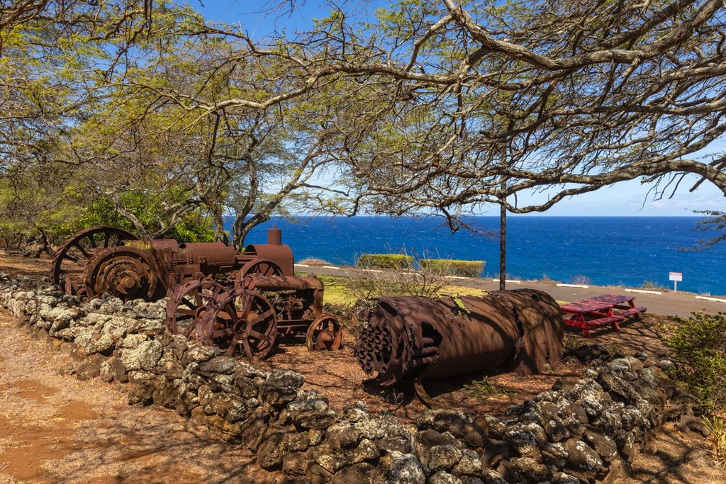 Hawi, Hawaii, 96719, United States, ,Land,Forsale,2004411