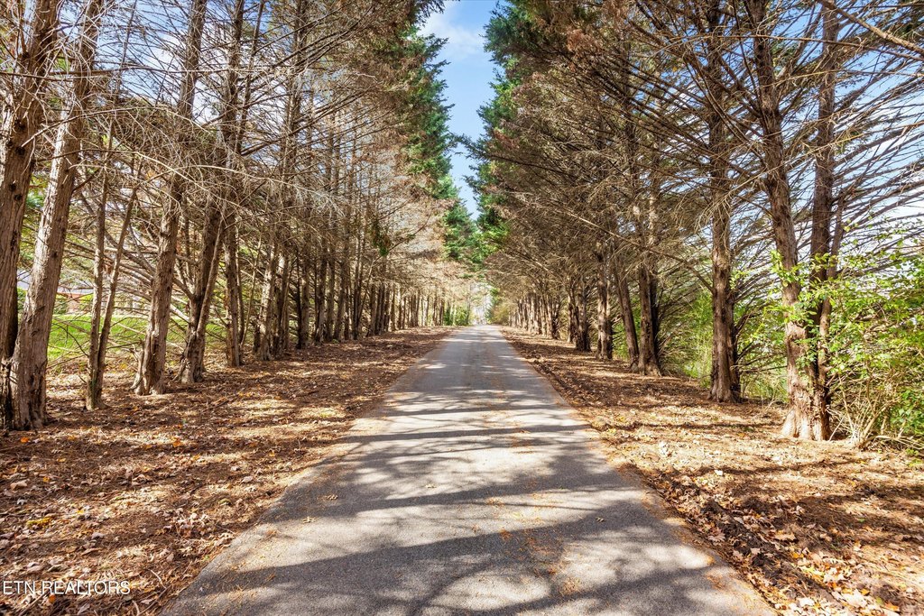 Maryville, Tennessee, 37803, United States, 5 Bedrooms Bedrooms, ,5.5 BathroomsBathrooms,Residential,Forsale,1999469