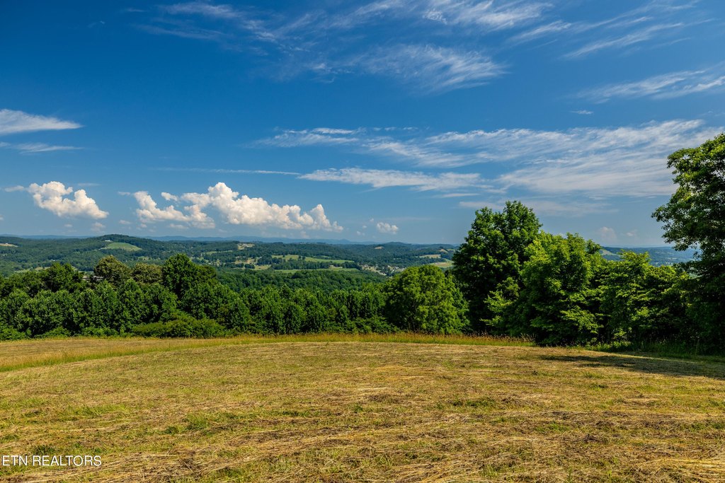 Maynardville, Tennessee, 37807, United States, ,Land,Forsale,2012725