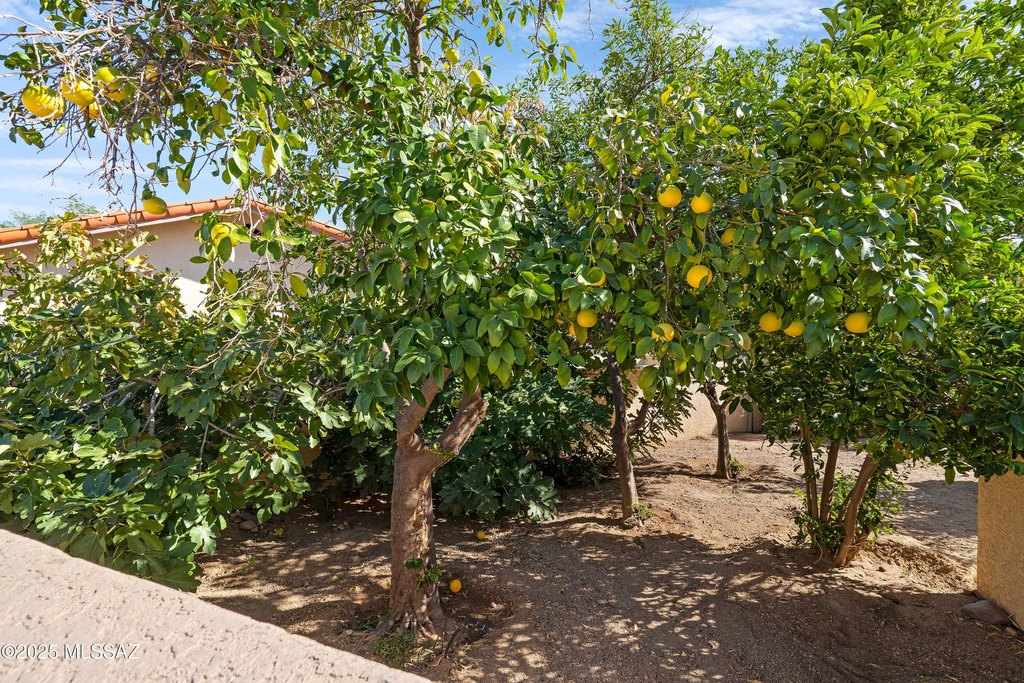 Tucson, Arizona, 85742, United States, 3 Bedrooms Bedrooms, ,3 BathroomsBathrooms,Residential,Forsale,2004437