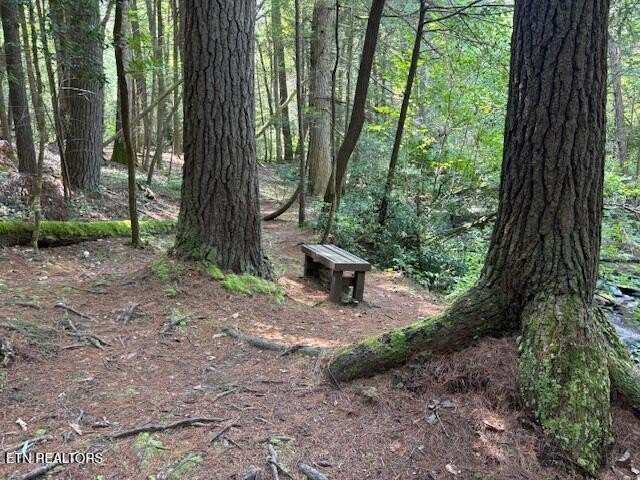 Crossville, Tennessee, 38558, United States, 3 Bedrooms Bedrooms, ,2.5 BathroomsBathrooms,Residential,Forsale,1968509