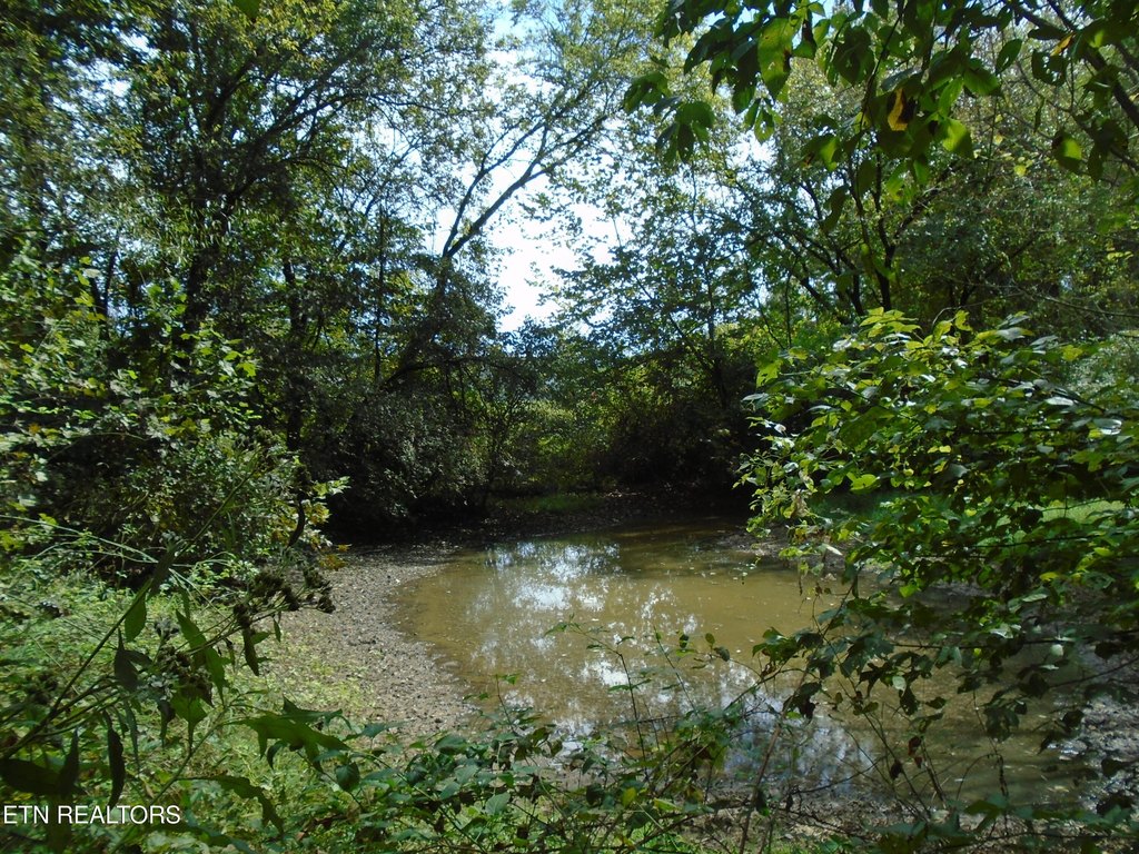 Friendsville, Tennessee, 37737, United States, 3 Bedrooms Bedrooms, ,2 BathroomsBathrooms,Residential,Forsale,1973588