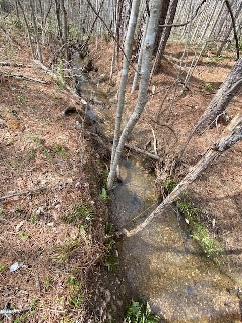 Hilham, Tennessee, 38568, United States, ,Land,Forsale,1999489