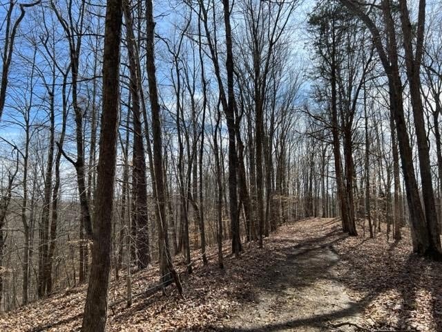 Hilham, Tennessee, 38568, United States, ,Land,Forsale,1999489