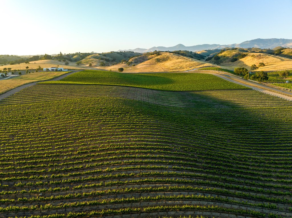 SANTA YNEZ, California, 93460, United States, ,Land,Forsale,1985949