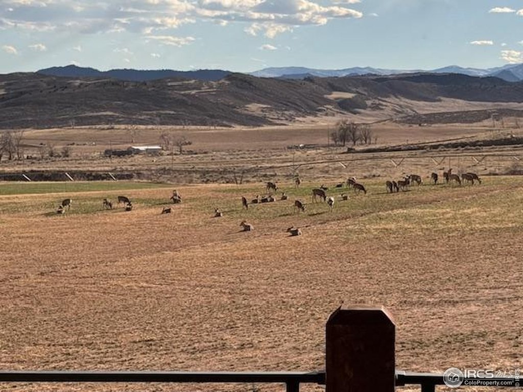 Wellington, Colorado, 80549, United States, 3 Bedrooms Bedrooms, ,2.5 BathroomsBathrooms,Residential,Forsale,2014285