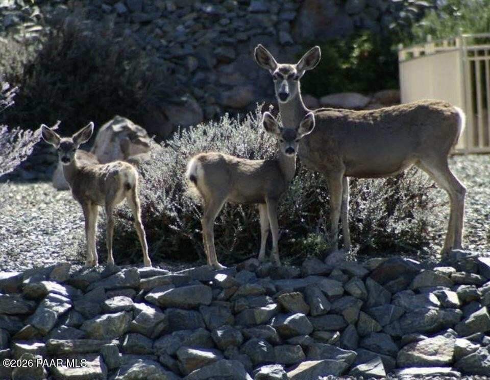 Prescott, Arizona, 86301, United States, 3 Bedrooms Bedrooms, ,4 BathroomsBathrooms,Residential,Forsale,1994056