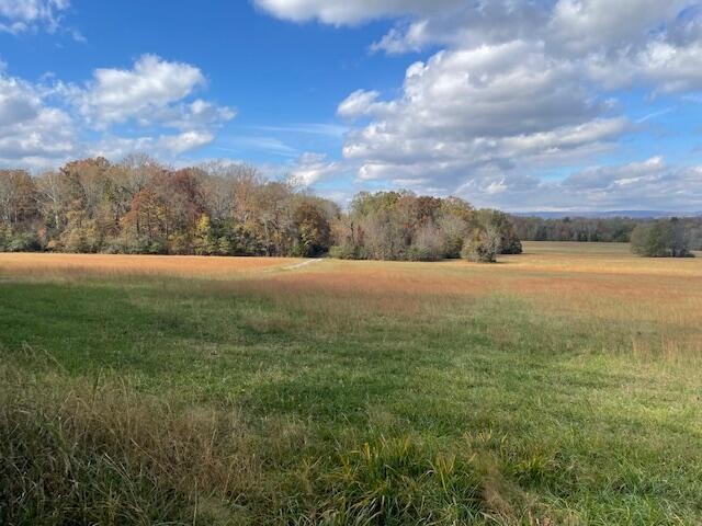 Dayton, Tennessee, 37321, United States, ,Residential,Forsale,2009518