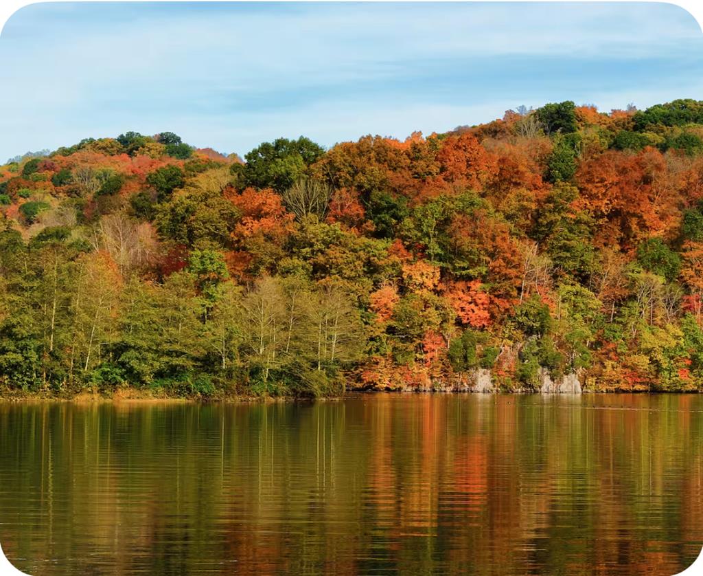 Celina, Tennessee, 38551, United States, ,Residential,Forsale,1999483