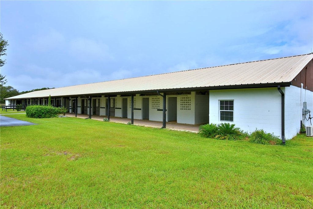 MORRISTON, Florida, 32668, United States, 5 Bedrooms Bedrooms, ,3 BathroomsBathrooms,Residential,Forsale,1969792