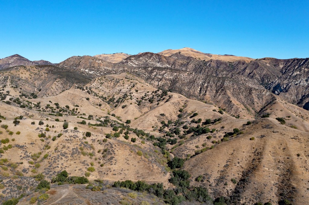 FILLMORE, California, 93015, United States, ,Commercial,Forsale,1964338