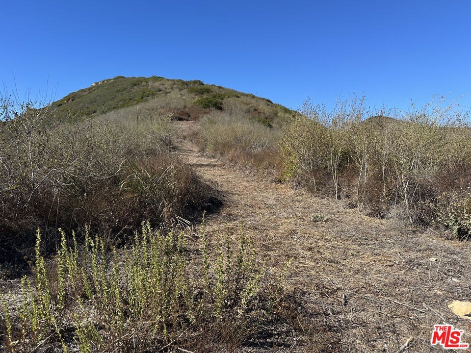 Malibu, California, 90265, United States, ,Land,Forsale,1985954