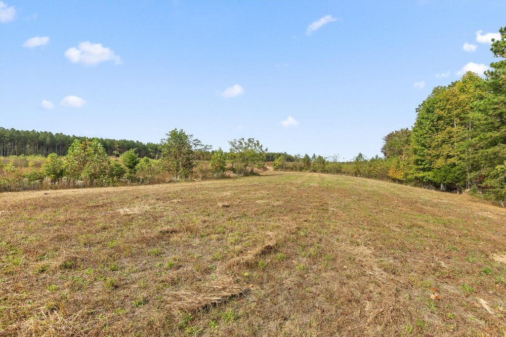 Spencer, Tennessee, 38585, United States, ,Land,Forsale,2009589
