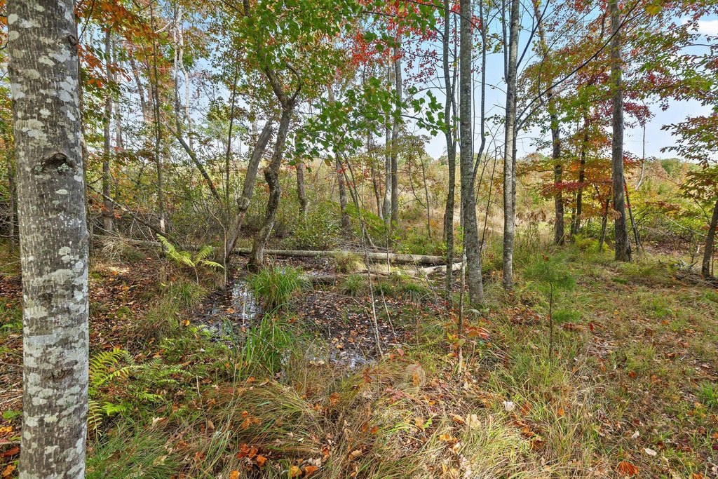 Spencer, Tennessee, 38585, United States, ,Land,Forsale,2009589