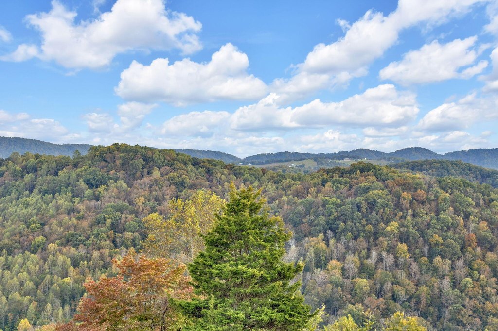 Sneedville, Tennessee, 37869, United States, 4 Bedrooms Bedrooms, ,3 BathroomsBathrooms,Residential,Forsale,1988736