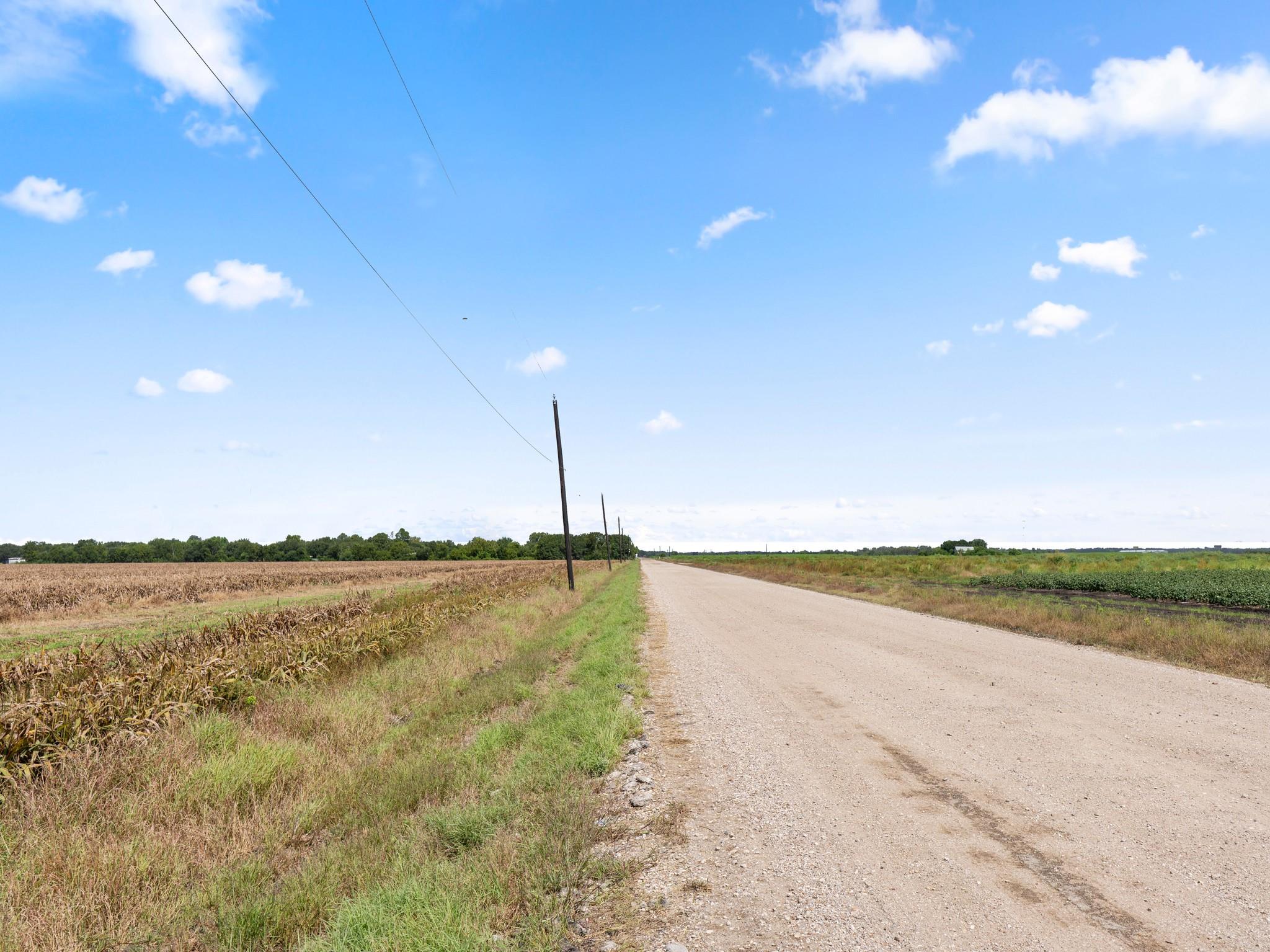 Needville, Texas, 77461, United States, ,Land,Forsale,1973439