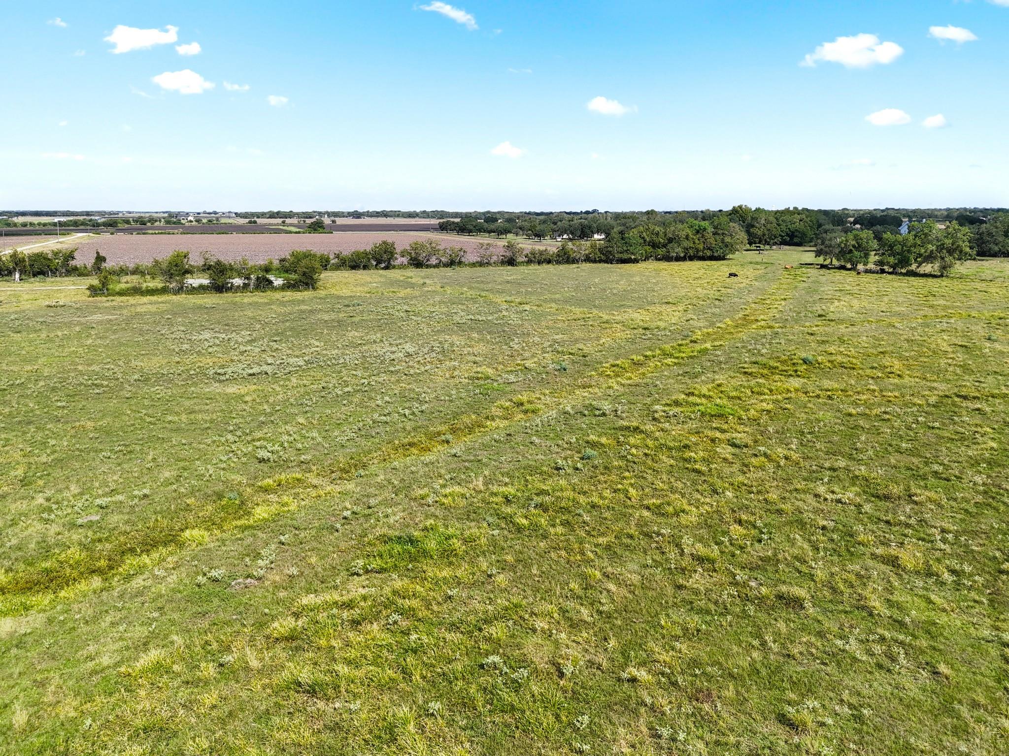 Needville, Texas, 77461, United States, ,Land,Forsale,1973438