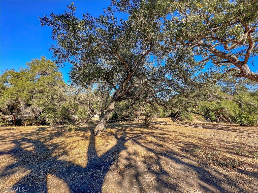 Agoura Hills, California, 91301, United States, ,Land,Forsale,2004530