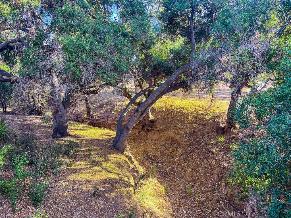 Agoura Hills, California, 91301, United States, ,Land,Forsale,2004530