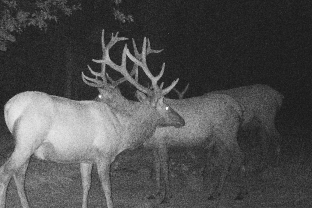 Hulett, Wyoming, 82720, United States, 3 Bedrooms Bedrooms, ,2 BathroomsBathrooms,Residential,Forsale,2004328