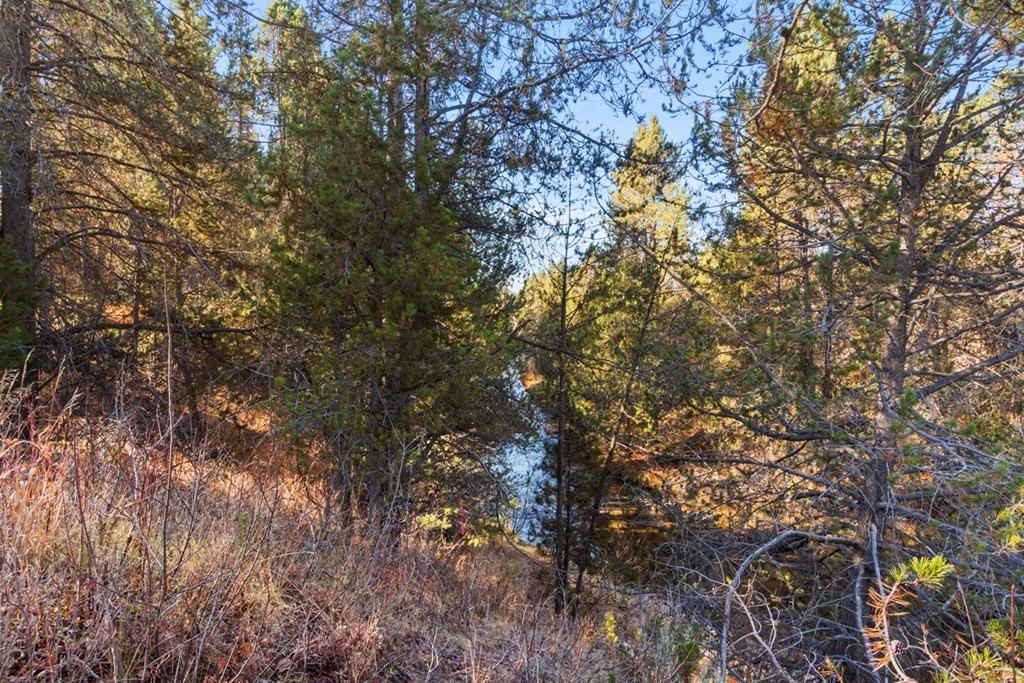 Cascade, Idaho, 83611, United States, 3 Bedrooms Bedrooms, ,2 BathroomsBathrooms,Residential,Forsale,1996718