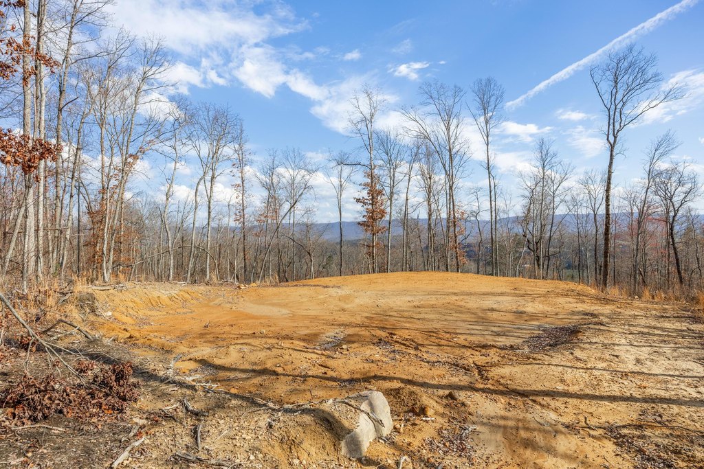 Pikeville, Tennessee, 37367, United States, ,Land,Forsale,2004680