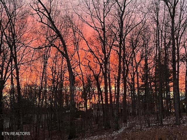 Fairfield Glade, Tennessee, 38558, United States, 3 Bedrooms Bedrooms, ,2 BathroomsBathrooms,Residential,Forsale,1996600