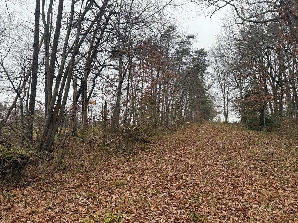 Crossville, Tennessee, 38555, United States, ,Land,Forsale,1996601