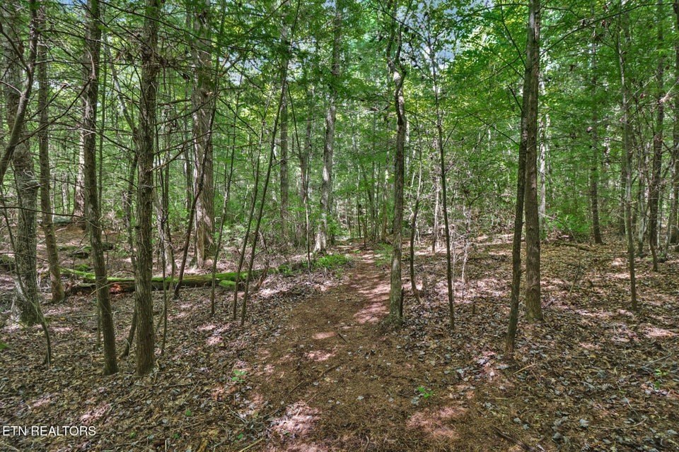 Jamestown, Tennessee, 38556, United States, 3 Bedrooms Bedrooms, ,2.5 BathroomsBathrooms,Residential,Forsale,1968510