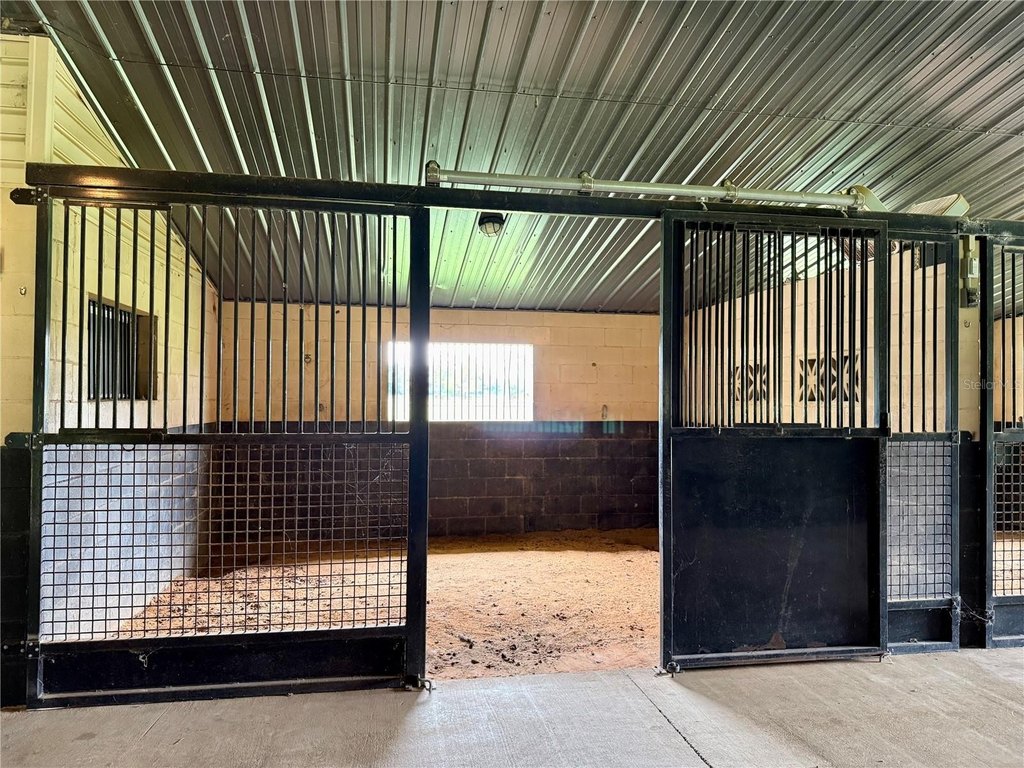 WILLISTON, Florida, 32696, United States, 3 Bedrooms Bedrooms, ,2 BathroomsBathrooms,Residential,Forsale,1994003