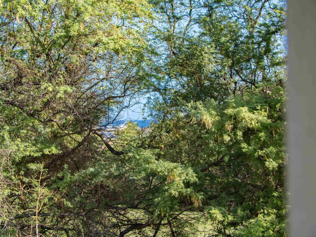 Kahului, Hawaii, 96732, United States, 5 Bedrooms Bedrooms, ,3.5 BathroomsBathrooms,Residential,Forsale,2004555