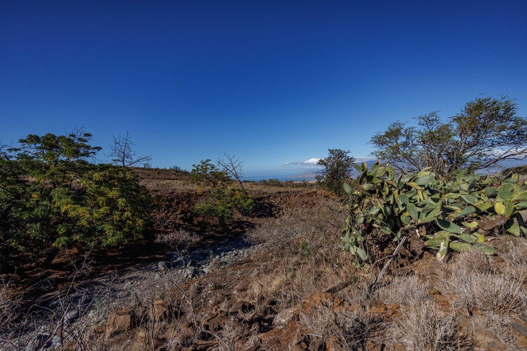 Kula, Hawaii, 96790, United States, ,Land,Forsale,2004556