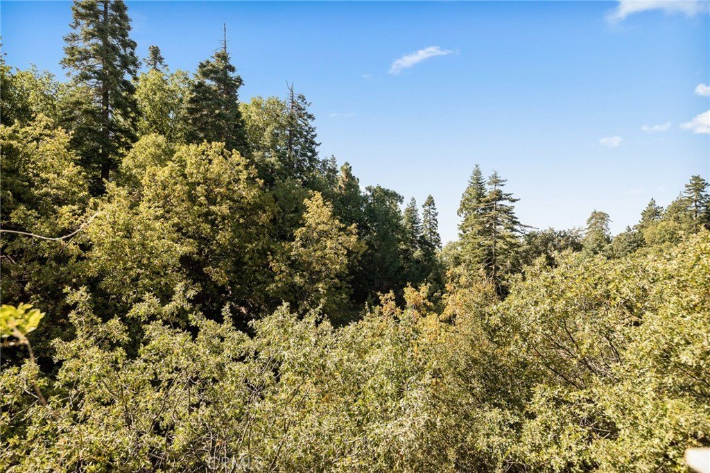 Running Springs, California, 92382, United States, 2 Bedrooms Bedrooms, ,3 BathroomsBathrooms,Residential,Forsale,2013206