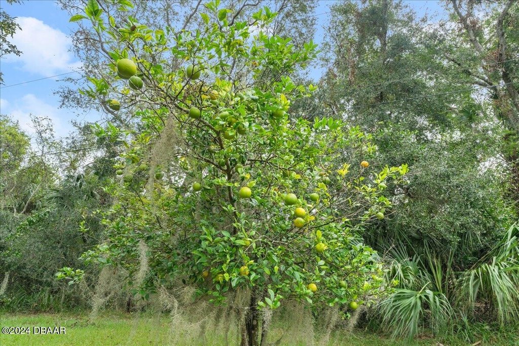 Flagler Beach, Florida, 32136, United States, ,Land,Forsale,2002762