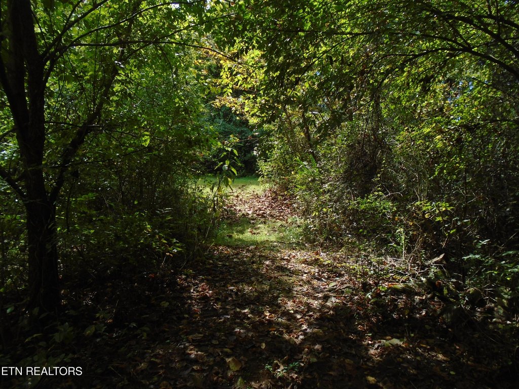 Friendsville, Tennessee, 37737, United States, 3 Bedrooms Bedrooms, ,2 BathroomsBathrooms,Residential,Forsale,1973588