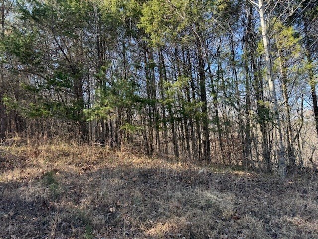 Celina, Tennessee, 38551, United States, ,Land,Forsale,1999487