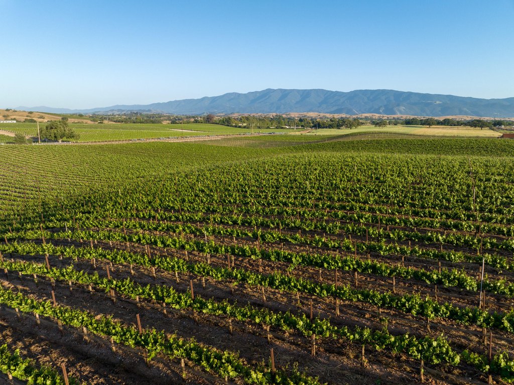 SANTA YNEZ, California, 93460, United States, ,Land,Forsale,1985949